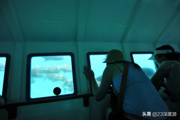 不會游泳也可以去找小丑魚跳海草舞！盤點全球可以坐潛水艇的景點