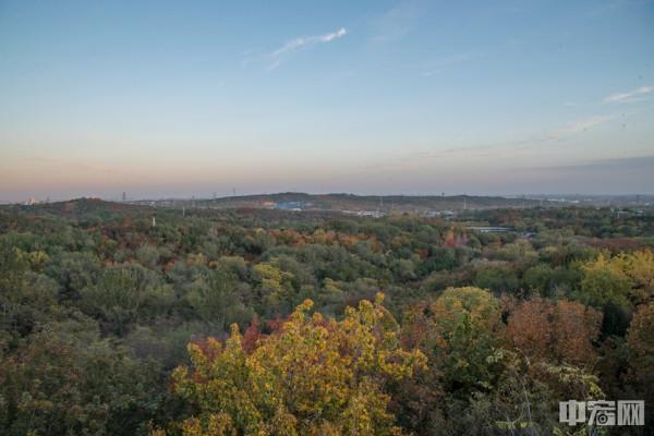 北京北宮國家森林公園秋色正濃