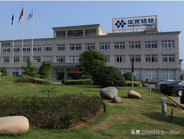 鈷行業四傑:華友鈷業、洛陽鉬業、寒銳鈷業、盛屯礦業價值大盤點 鈷行業四傑:華友鈷業、洛陽鉬業、寒銳鈷業、盛屯礦業價值大盤點