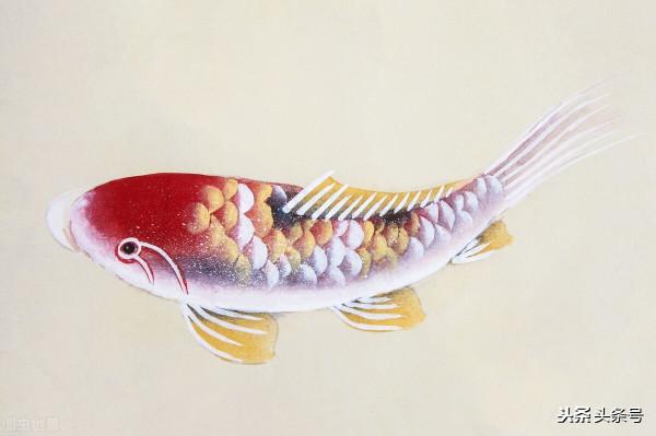 越來越有福氣的人並不一定是一夜暴富的人 越來越有福氣的人並不一定是一夜暴富的人