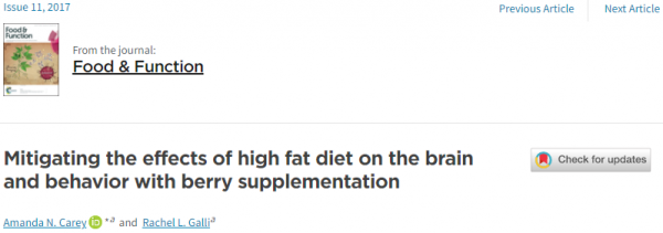 減肥能提高智力!胖人變聰明就是這麼簡單 減肥能提高智力!胖人變聰明就是這麼簡單