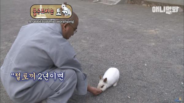 奇葩韓國高中生沉迷養雞，還帶雞上課，200只稀有雞震驚鳥類專家