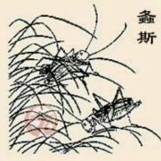 娜聊《詩經·螽斯》