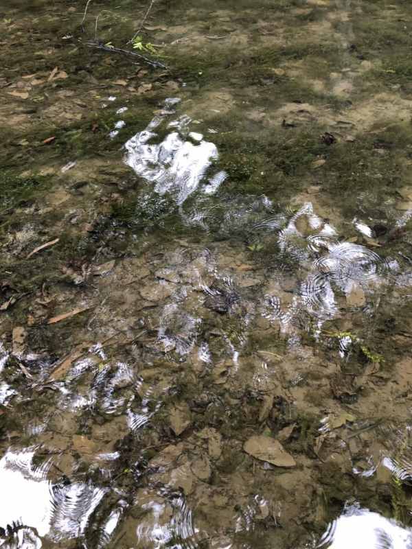 四天四晚貴州旅遊攻略 四天四晚貴州旅遊攻略