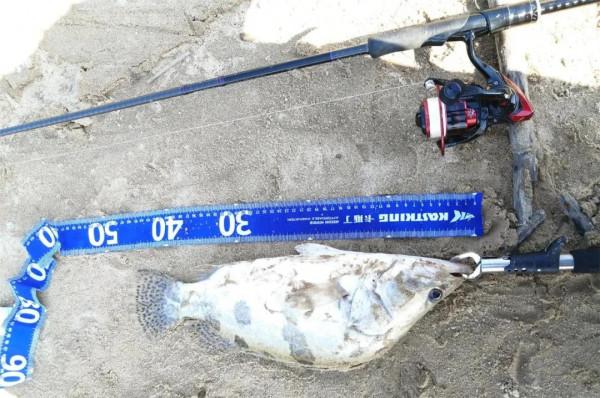 內有大魚，速點！「漁獲名人堂」