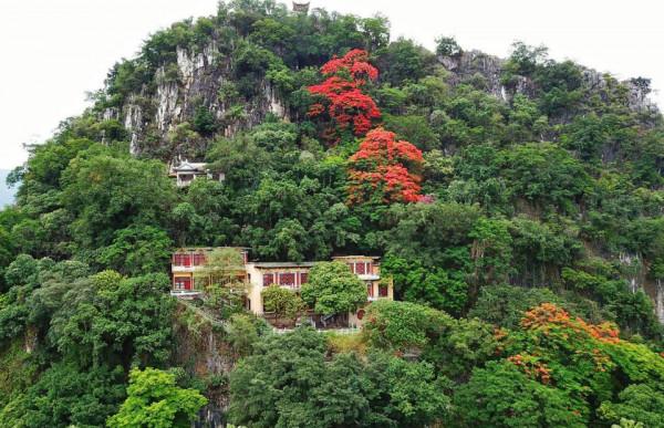 重陽登高，肇慶星湖好愜意