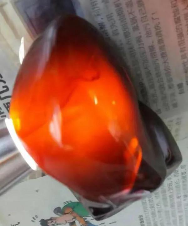 琥珀收藏者說琥珀（五）