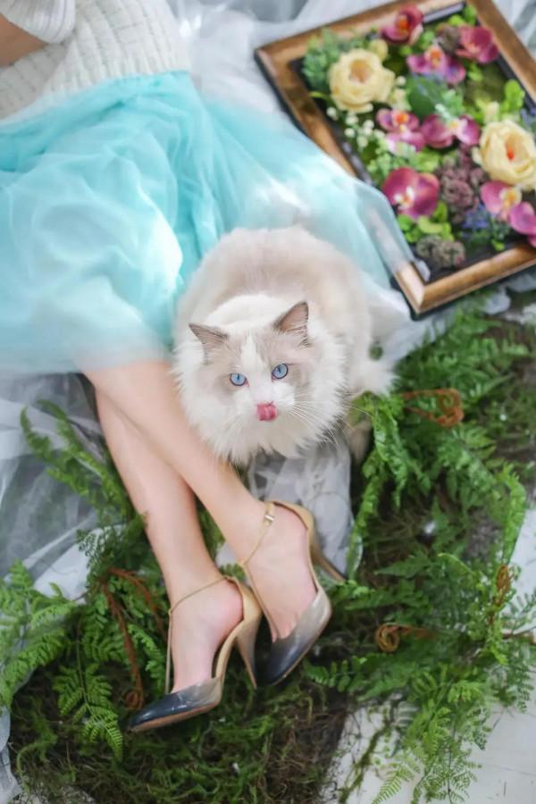 50歲的俞飛鴻更有韻味