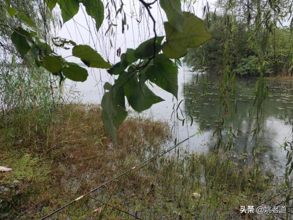 方向:冬季人找魚去哪兒找、有什麼規律,冬釣實用技能(圖文版) 方向:冬季人找魚去哪兒找、有什麼規律,冬釣實用技能(圖文版)