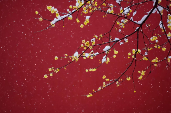 太美了！等一個人陪我去這11個地方，看看下了雪的中國