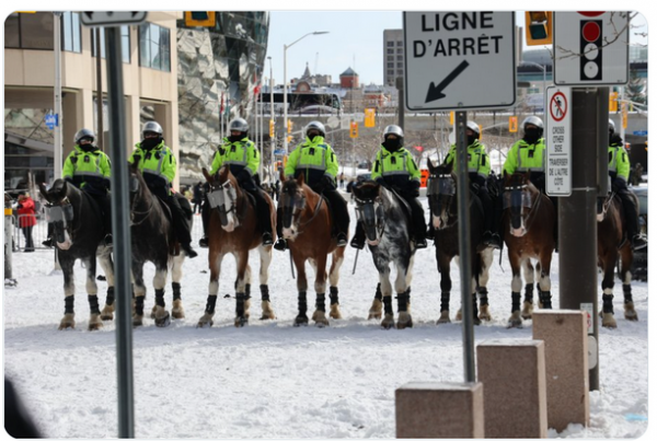 美麗風景線現身北美，加拿大警察暴力清場，拜登布林肯默不作聲