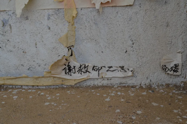 歷史豐碑——三道嶺無人區