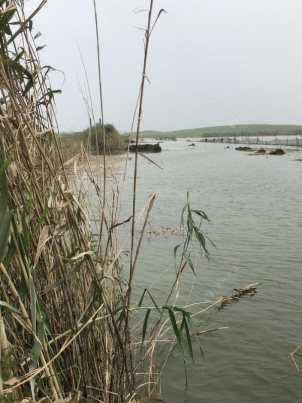 2021垂釣日誌之56,艱辛垂釣路,魚獲足補償 2021垂釣日誌之56,艱辛垂釣路,魚獲足補償