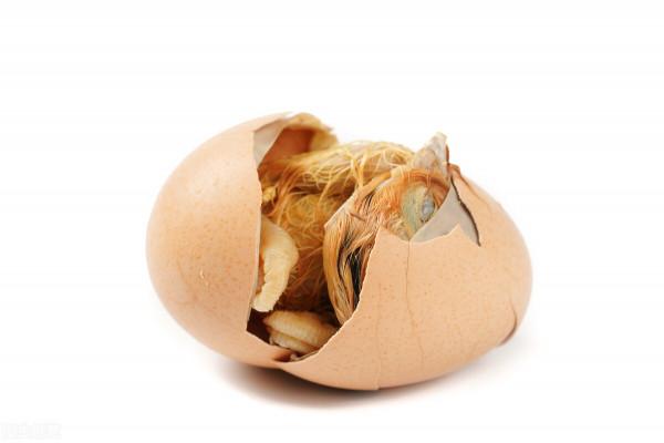 毛蛋十塊錢無限吃,你能吃多少個? 毛蛋十塊錢無限吃,你能吃多少個?