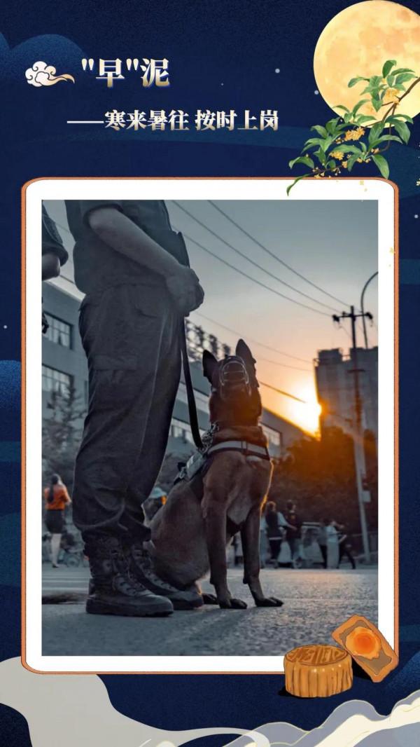 網紅月餅且退散！看警察叔叔的秘製配方