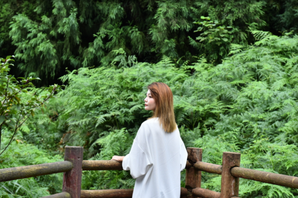 “顏值”再升級,七里坪森林禪道(二期)迭新開放 “顏值”再升級,七里坪森林禪道(二期)迭新開放