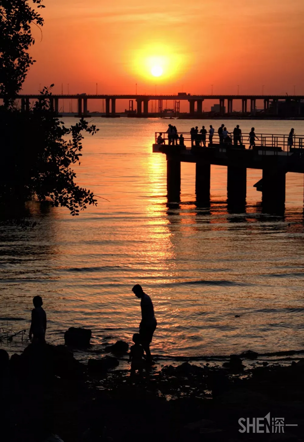 在深圳,必打卡的6個海濱棧道 在深圳,必打卡的6個海濱棧道