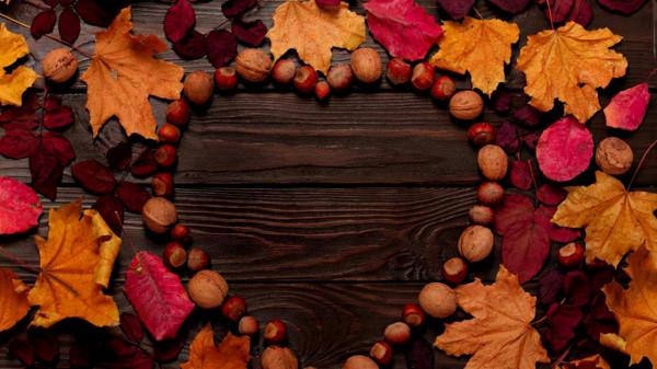 秋季多給家人吃“白色六寶”,潤秋燥養護肺,應季而食才舒適 秋季多給家人吃“白色六寶”,潤秋燥養護肺,應季而食才舒適