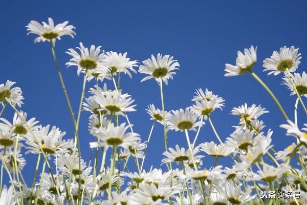 一個“熊孩子”與“熊家長”的故事