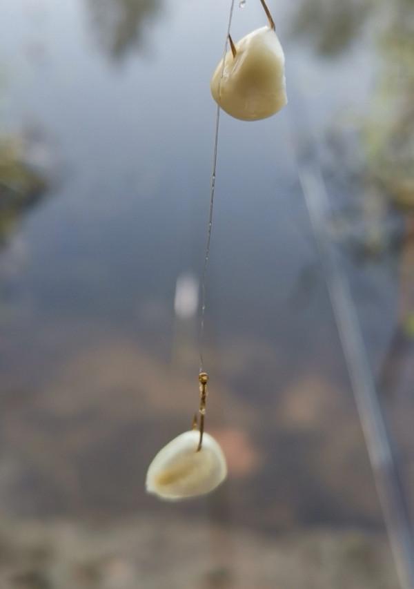 [十週年亅艱難釣魚路,我用妙招撬開鯽魚口 [十週年亅艱難釣魚路,我用妙招撬開鯽魚口