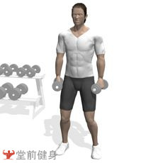 健身房一週4練健身計劃（初級）