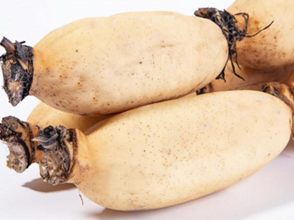 秋季記得多給孩子吃這5種食物,不管有錢沒錢,家中都要常備一些 秋季記得多給孩子吃這5種食物,不管有錢沒錢,家中都要常備一些