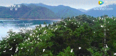 回收材料，變廢為寶，做“拾荒者”重複利用，減緩地球變老的速度