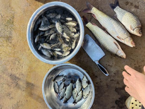 準備倉促確有意外驚喜，探釣之行忠愛橋