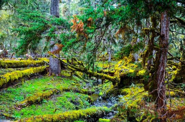 國內禁止外國人進入的7個景點,個個都美如畫,看完立刻想出發 國內禁止外國人進入的7個景點,個個都美如畫,看完立刻想出發