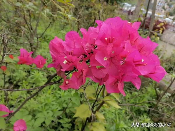 萍水相逢就是緣 萍水相逢就是緣