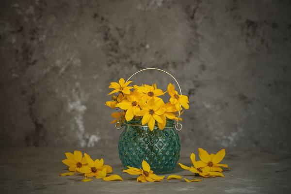 如果有一天，你和兄弟姐妹漸漸疏遠了，就會明白兩件事