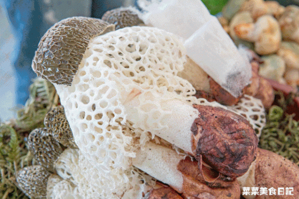 花了90天,總結出這份秋季必吃指南!錯過再等1年 花了90天,總結出這份秋季必吃指南!錯過再等1年