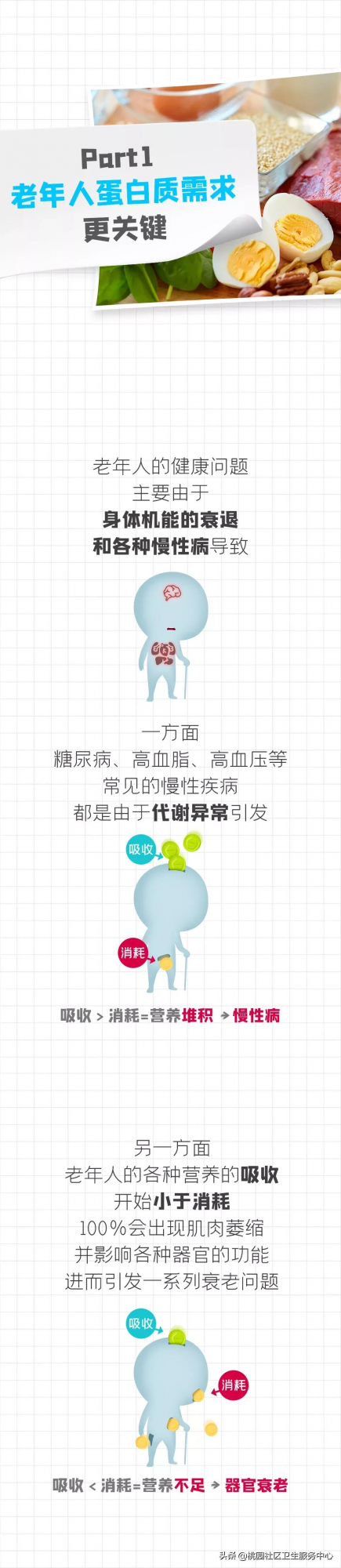 老年人的一份蛋白質“食用說明書”