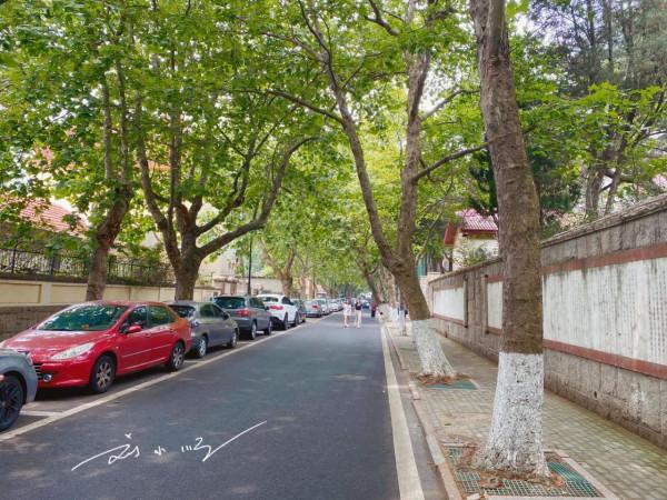 山東青島最著名的“別墅區”,路名都是長城關隘,遊客爭相來打卡 山東青島最著名的“別墅區”,路名都是長城關隘,遊客爭相來打卡