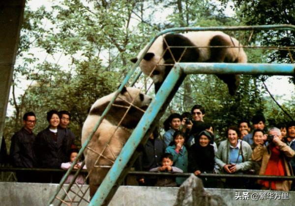 四川省的區劃調整,18個地級市之一,達州市為何有7個區縣? 四川省的區劃調整,18個地級市之一,達州市為何有7個區縣?