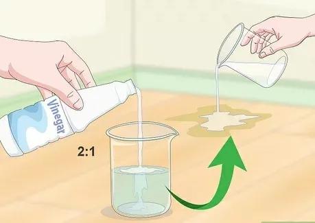 如何清除貓尿產生的汙漬