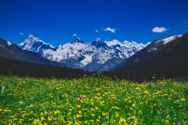 疫情結束,一定要去這10個地方洗洗肺 疫情結束,一定要去這10個地方洗洗肺