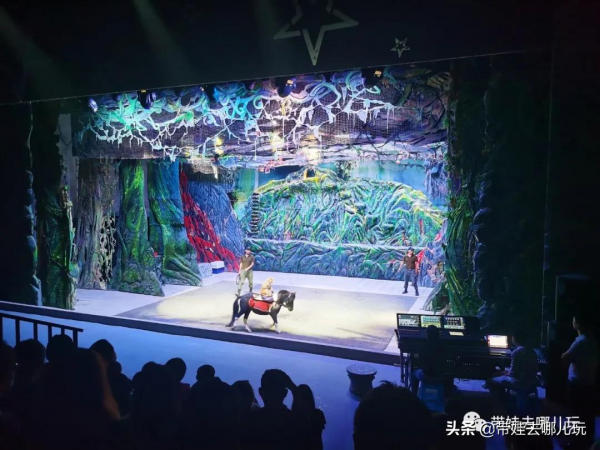 北京新開一家動物園,可以和老虎共進午餐 北京新開一家動物園,可以和老虎共進午餐