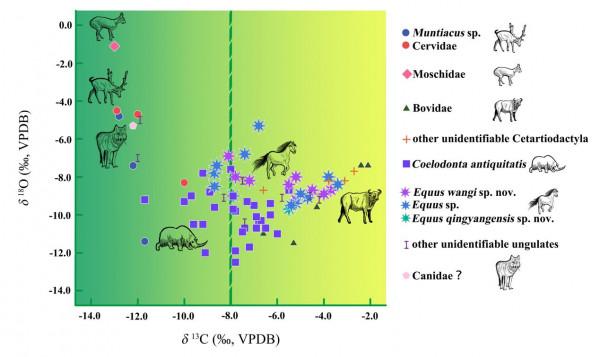 穩定同位素分析重建泥河灣盆地麻地溝古人類生存環境