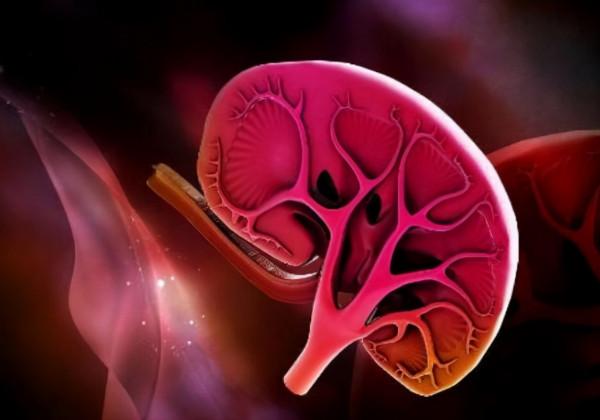 《國家藥典》裡有3種中草藥已被禁用，下次別抓錯了藥