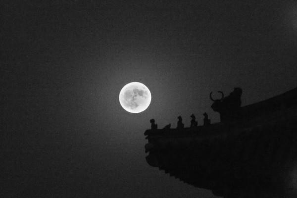 檢察文藝|月到中秋故鄉明