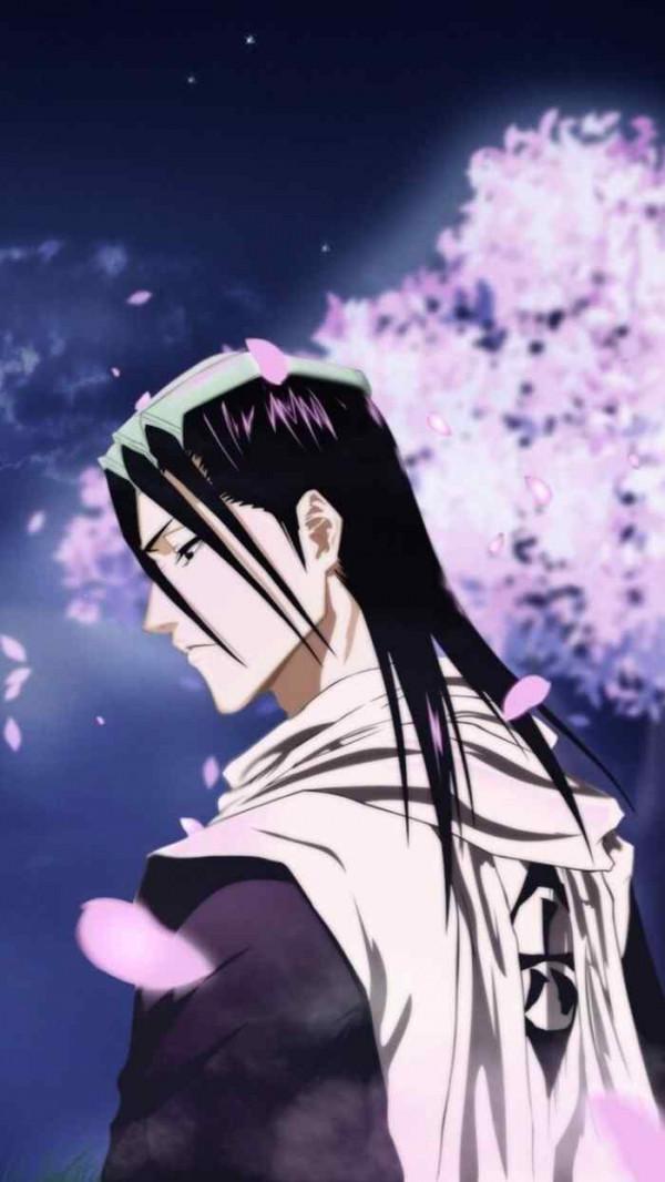 傲嬌的護妹狂魔——朽木白哉