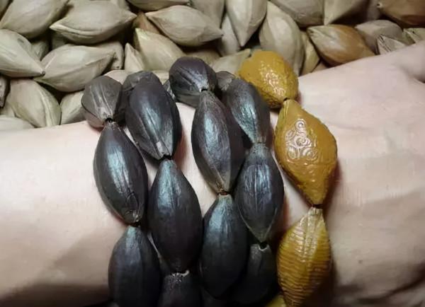 最珍貴的橄欖核 最珍貴的橄欖核