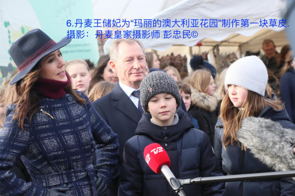 丹麥王儲妃為&OpenCurlyDoubleQuote;瑪麗的澳大利亞花園&rdquo;製作第一塊草皮