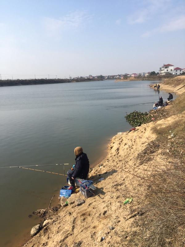 降溫後和降溫當天漁獲差距是真大