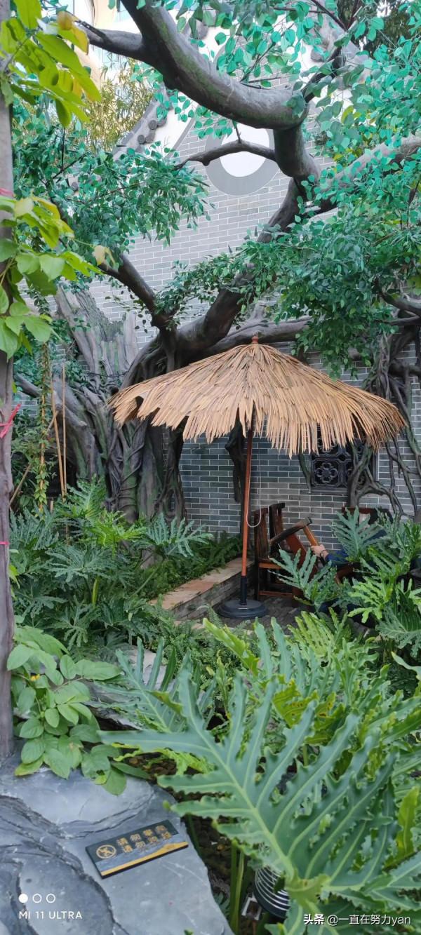 順德漁村漁人碼頭一日遊 順德漁村漁人碼頭一日遊