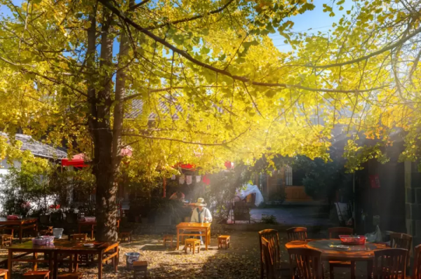 12月必去的7個古鎮,每一個都美到不想離開,閒了就去小住幾日吧 12月必去的7個古鎮,每一個都美到不想離開,閒了就去小住幾日吧