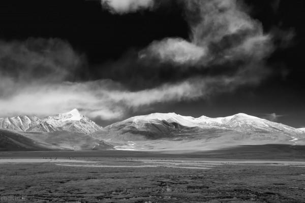 她46歲自駕317進藏,遇見靈魂伴侶。她拯救了他,最後也殺死了他 她46歲自駕317進藏,遇見靈魂伴侶。她拯救了他,最後也殺死了他