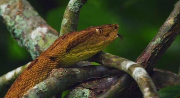 這就是巴西聖保羅，南半球最大、最富有的城市