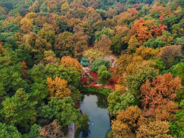 「東亞文化之都」長沙:千年湘楚源,英傑輩出地 「東亞文化之都」長沙:千年湘楚源,英傑輩出地